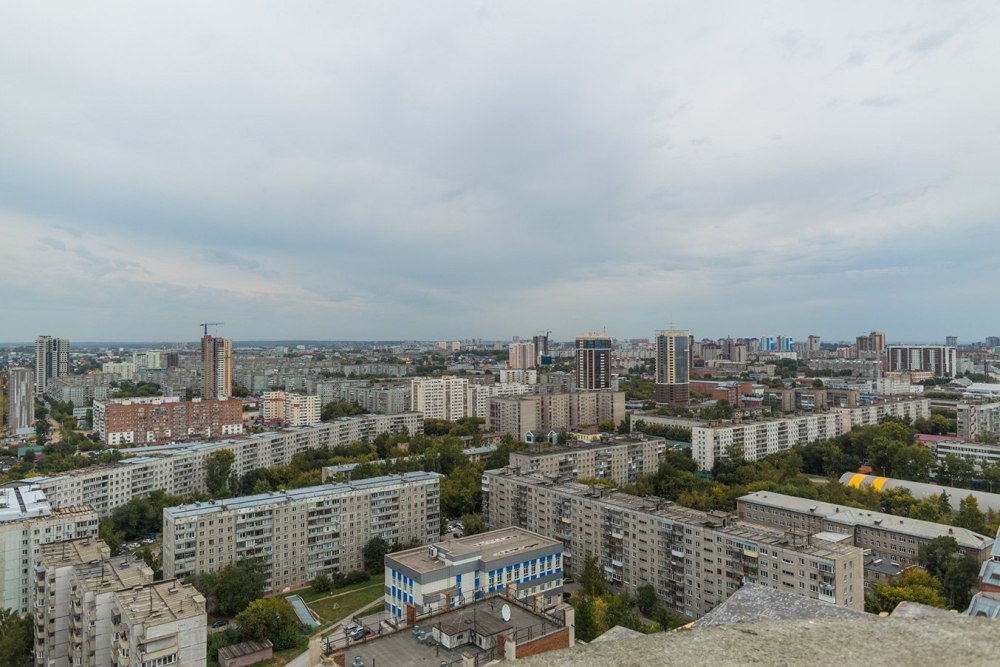 Панорама города с деревьями