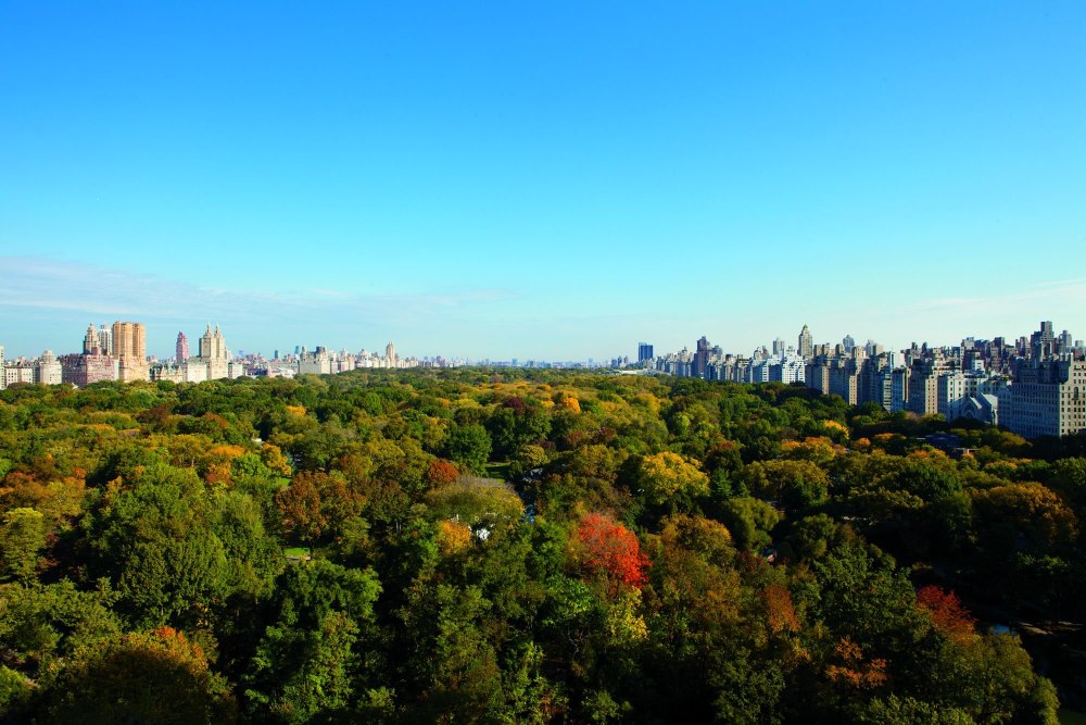 Панорама зеленого города