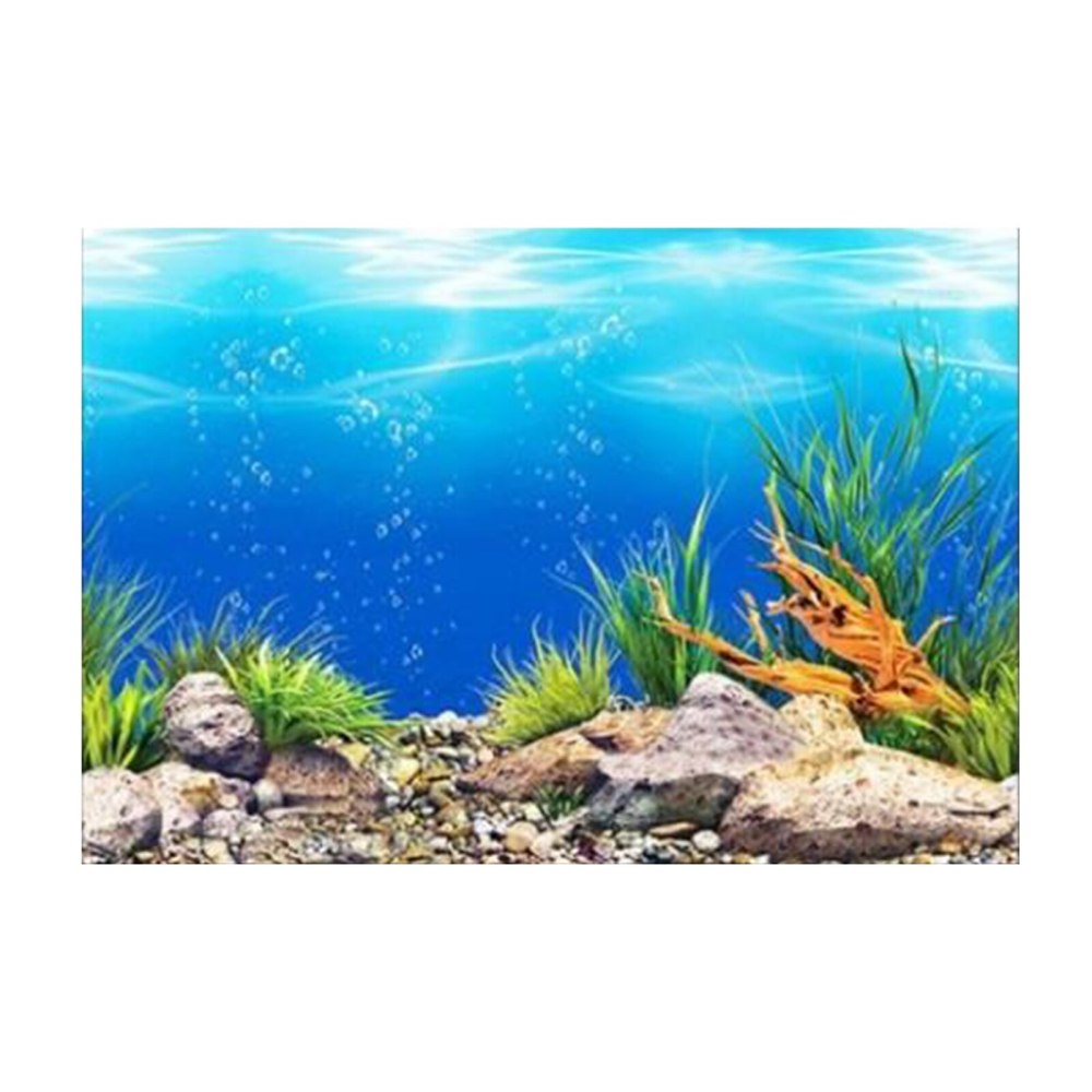 Морские подводные пейзажи