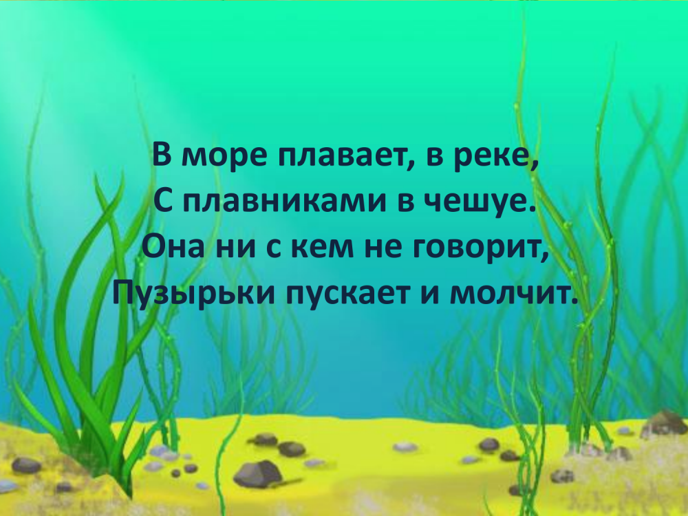 Фон для аппликации море