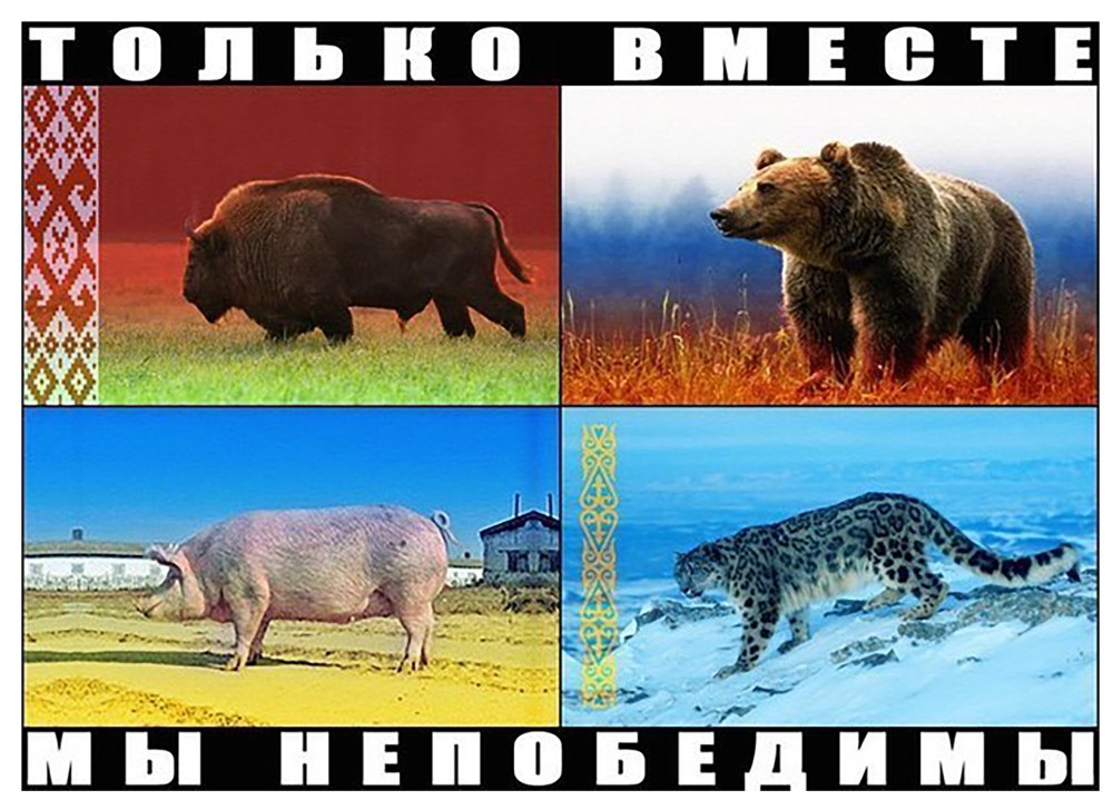 Животное символ Украины