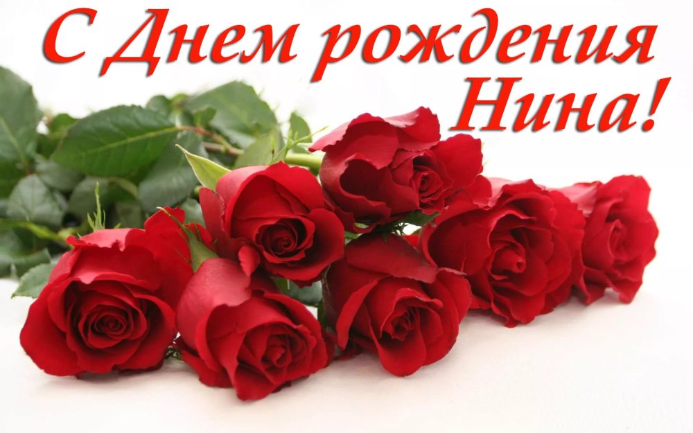 Красные розы на белом фоне