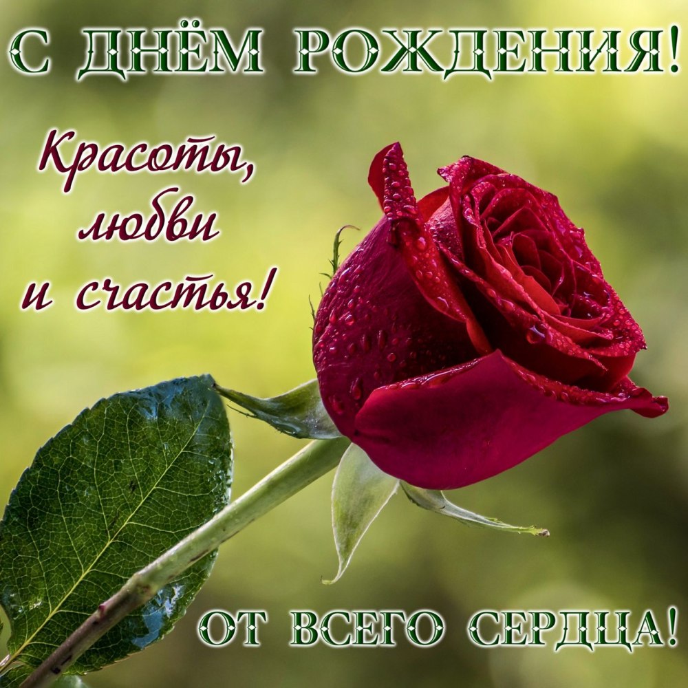 Открыточку нину александровну с днем рождения