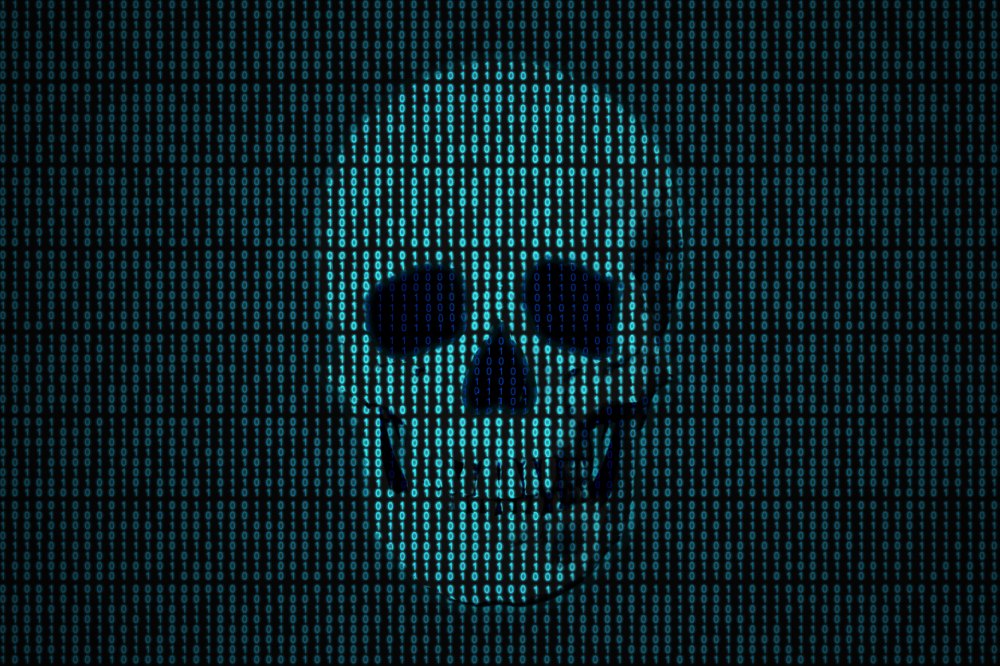 Darknet 4к