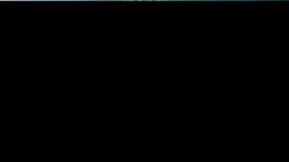 Чёрный матовый js 9013-28