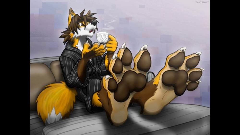 Furry Fox Paws