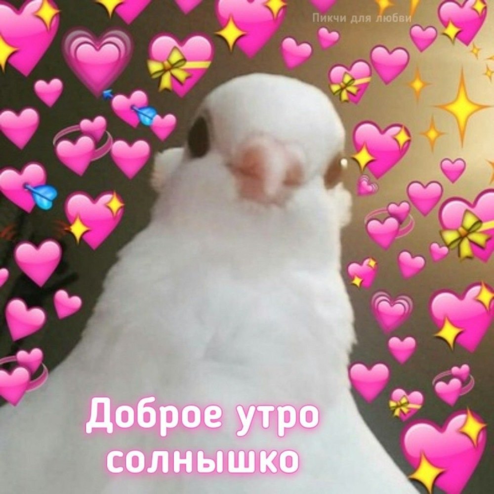 Милые пикчи для парня любимого