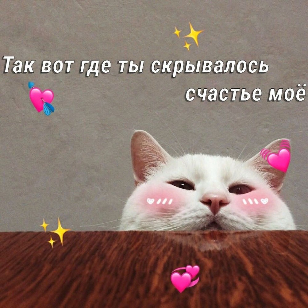 Милые мемы