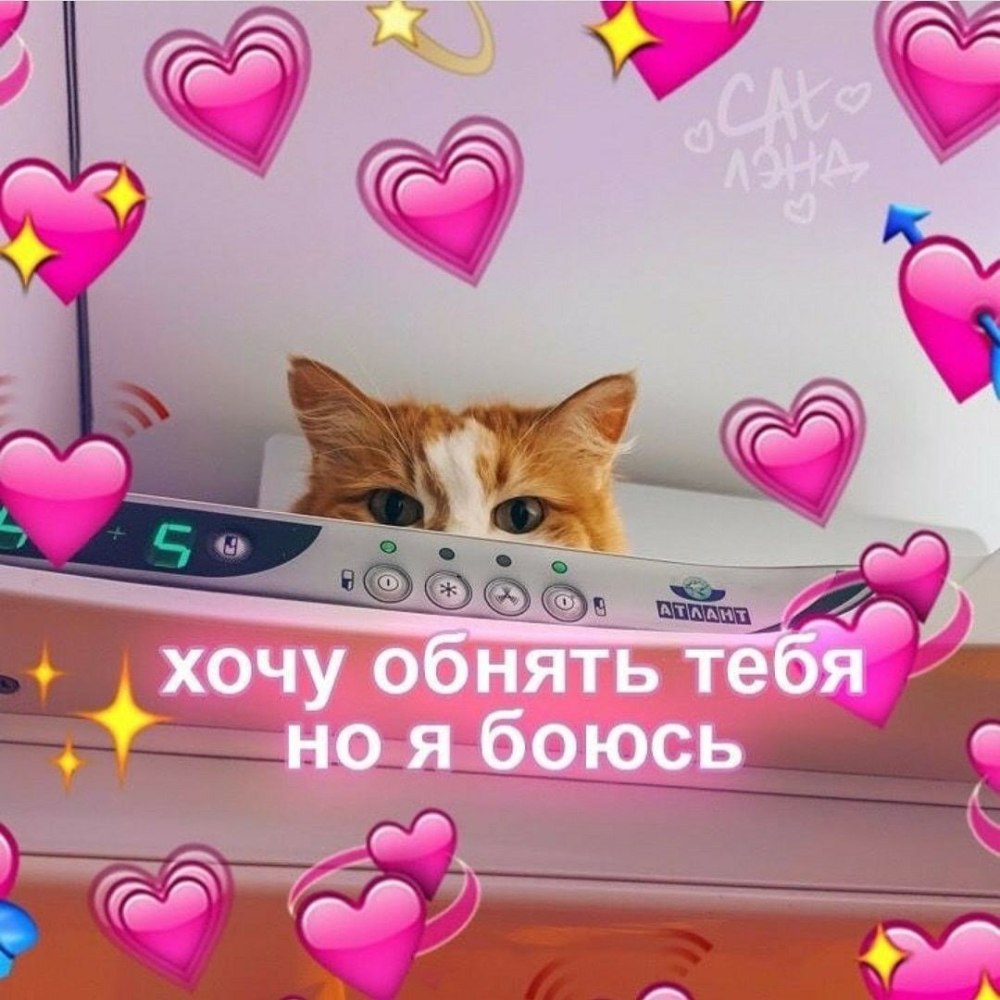 Милый котик с надписью
