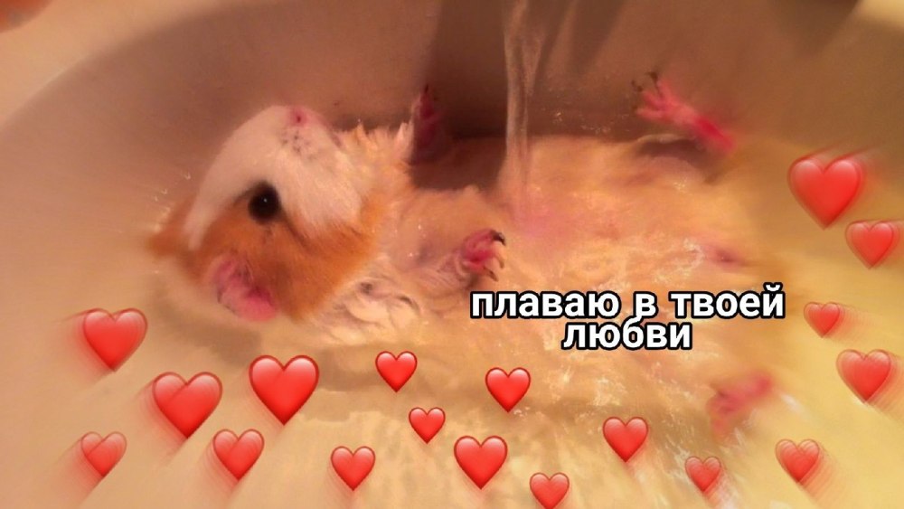 Любовные пикчи
