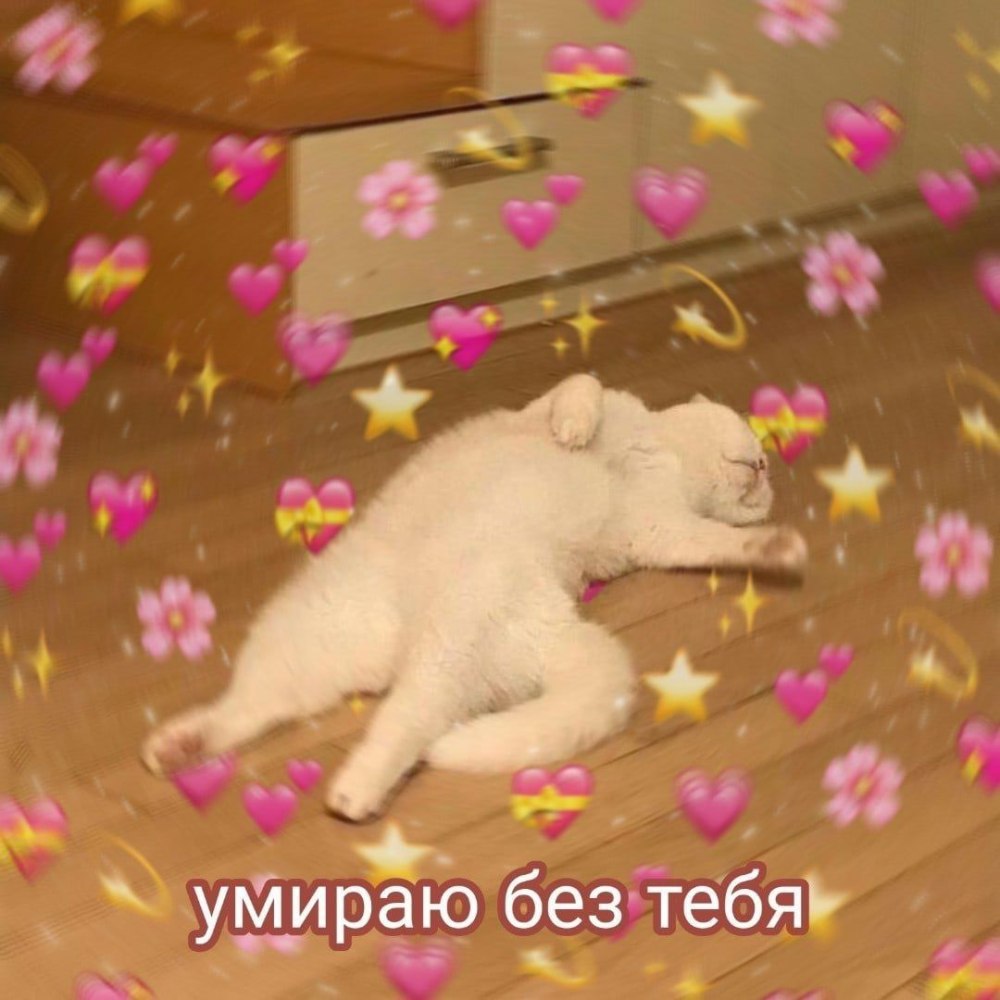 Милые пикчи про любовь