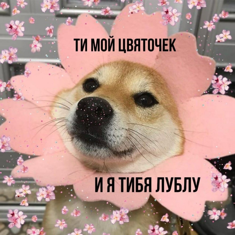 Милые пикчи с надписями