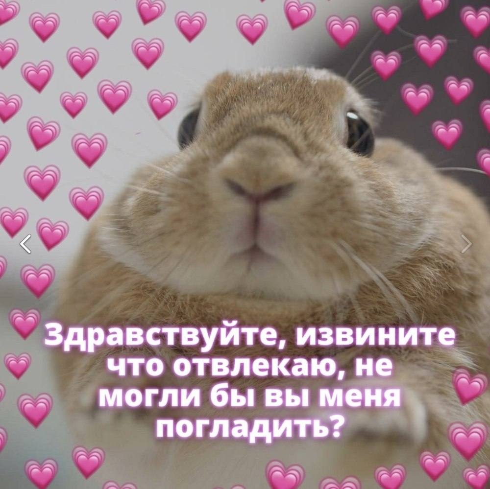 Милые картиночки с текстом