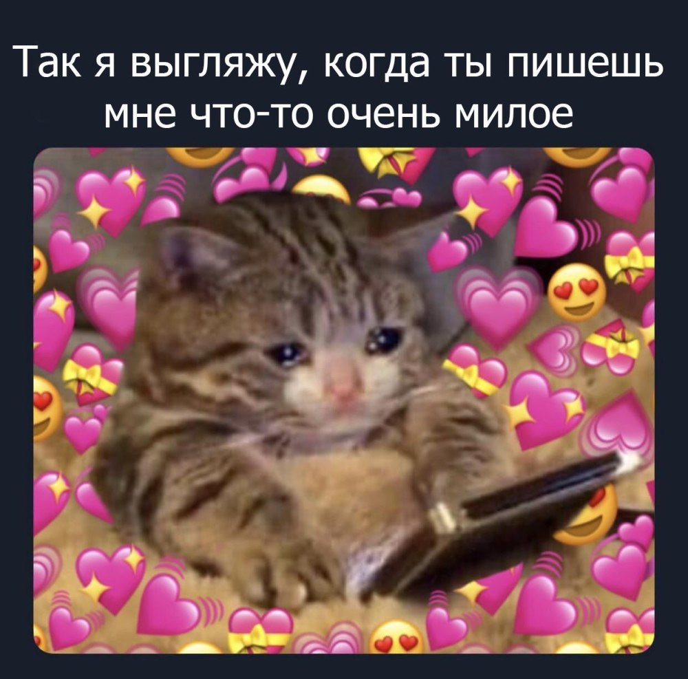 Милый котик с надписью