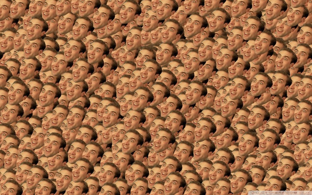 Смешные обезьяны