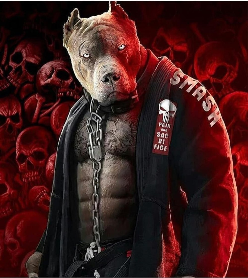 Джиу-джитсу ground Shark