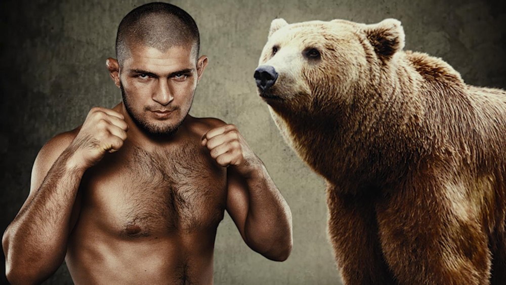 BJJ животные