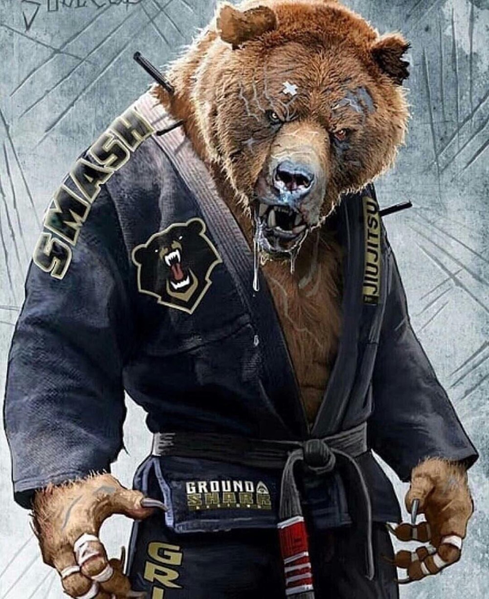 Медведь джиу-джитсу арт