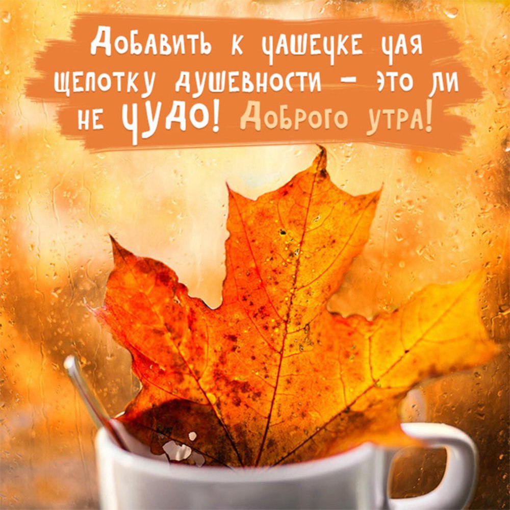 Позитивного настроения и удачного осеннего дня