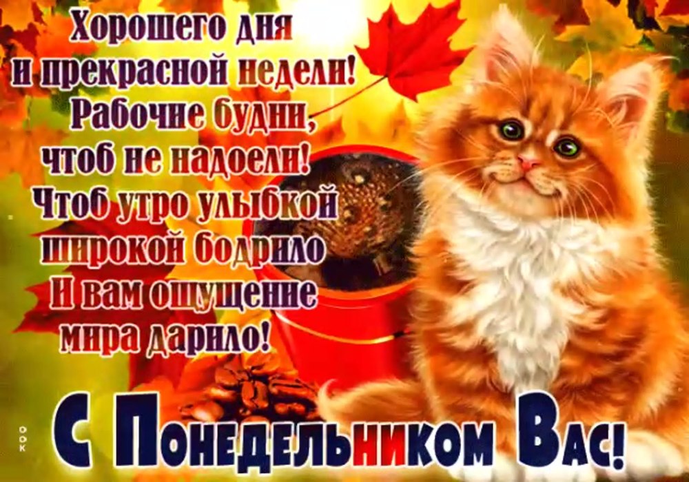 С добрым осенним утром понедельника
