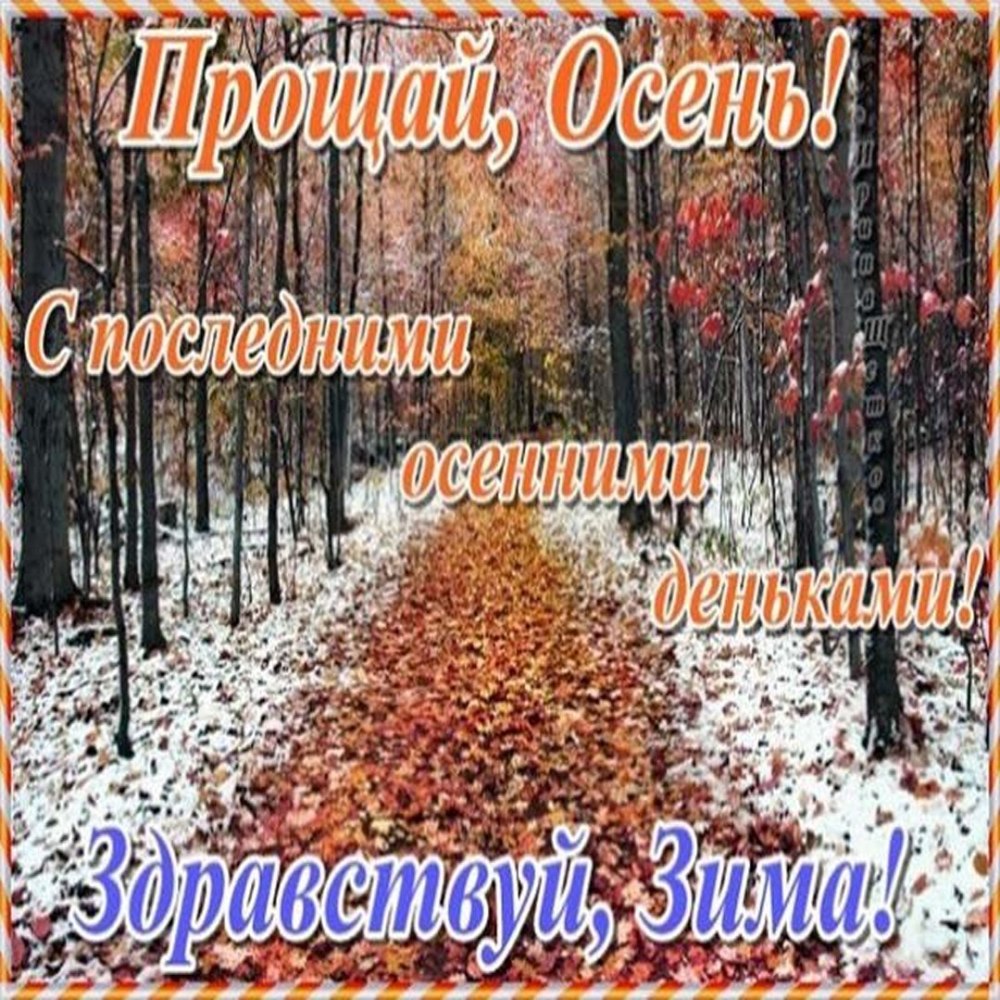 Осенние пейзажи для кружек