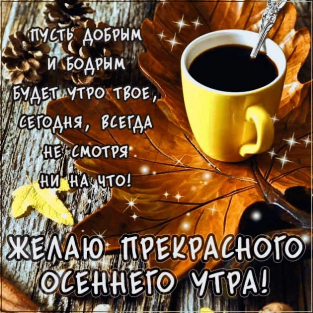 Добрый день осень