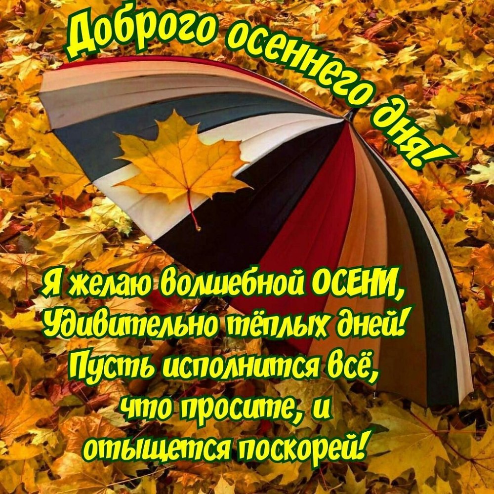 С добрым осенним утром