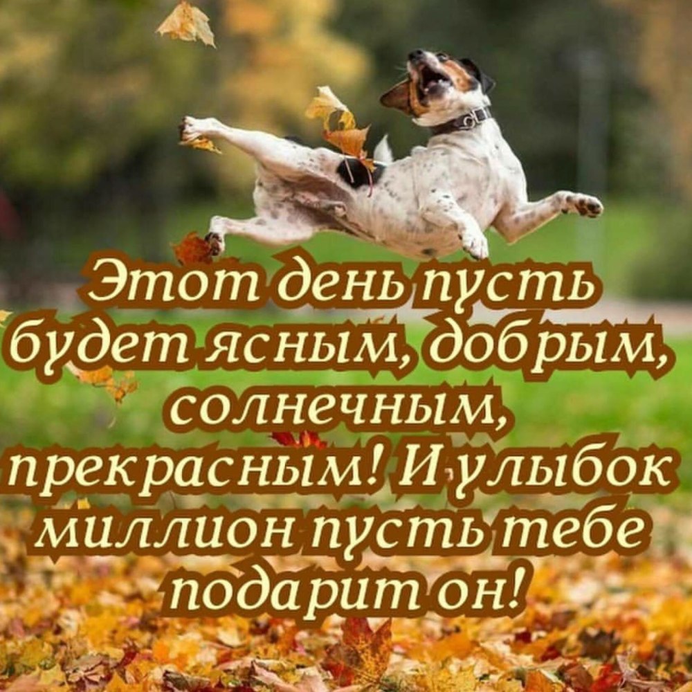 Открытки с последним днем осени