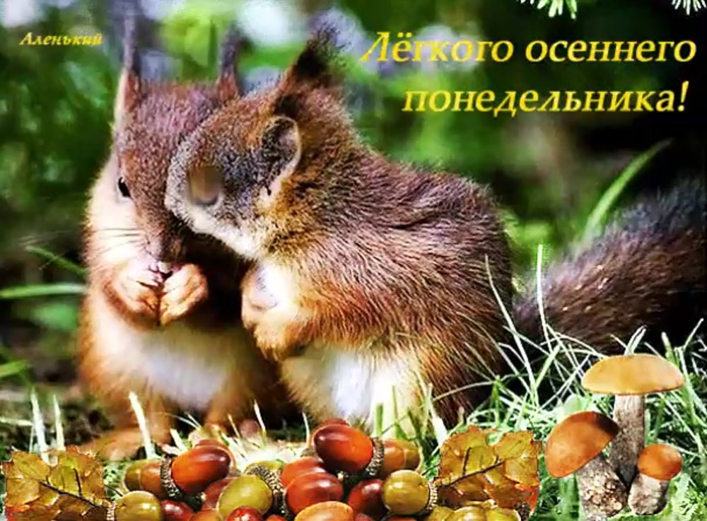 Солнечного воскресного утра