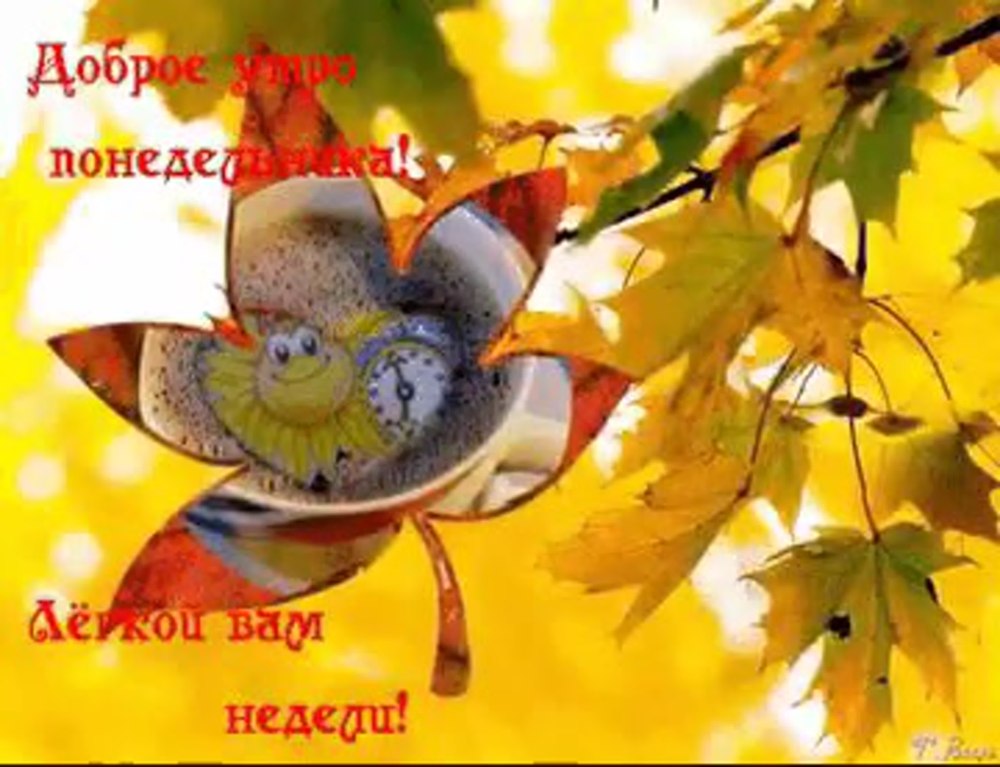 С добрым осенним утром