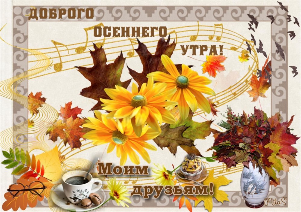 С добрым осенним днем и хорошим вечером