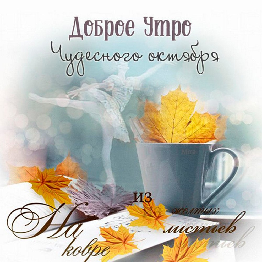 Открытки с добрым утром понедельника
