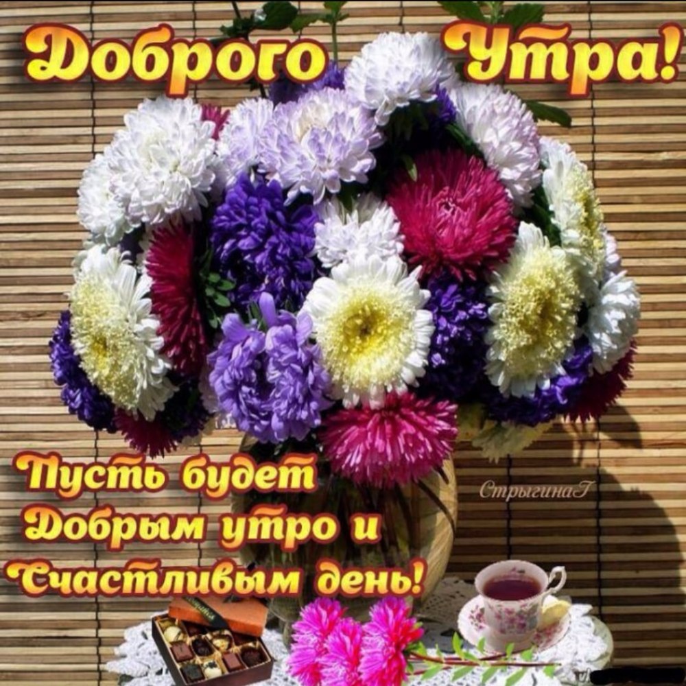 Доброго теплого осеннего утра