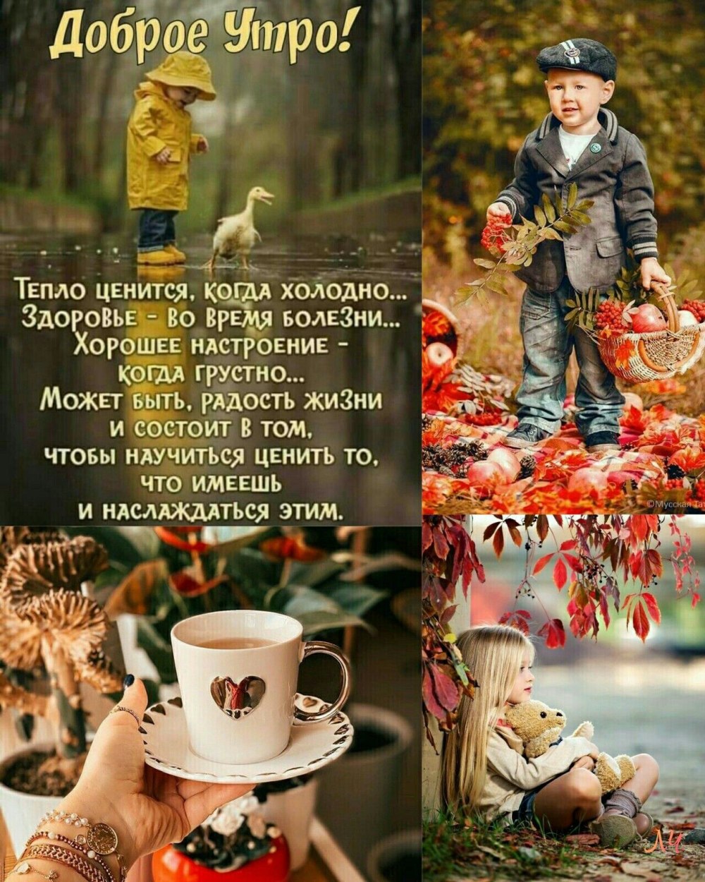 Осенний утренний привет