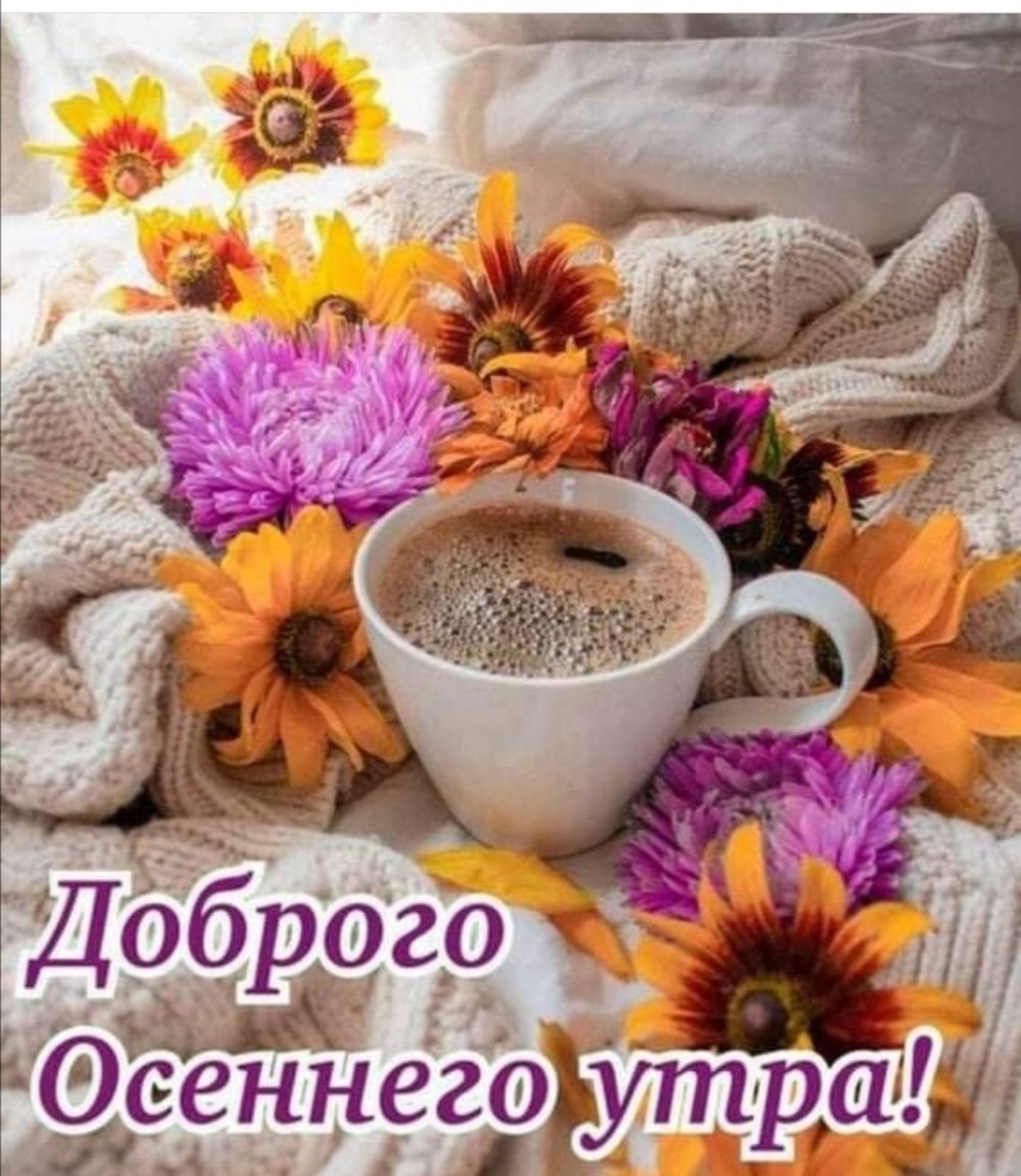 Открытка бодрости на весь день