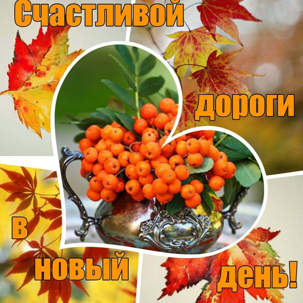 Доброе осеннее утро понедельника