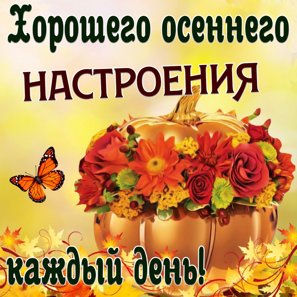 Живые открытки с добрым осеннем утром