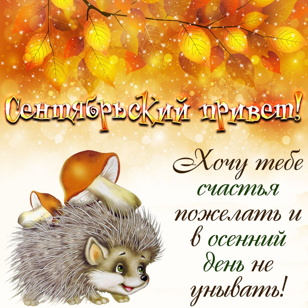 Доброе осеннее утро сентября