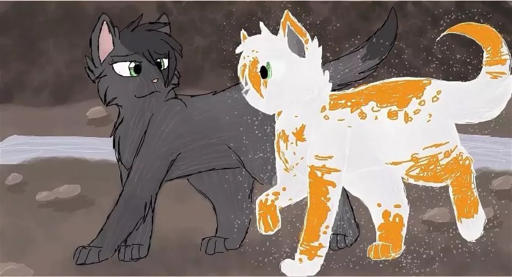 Коты Воители небесное племя