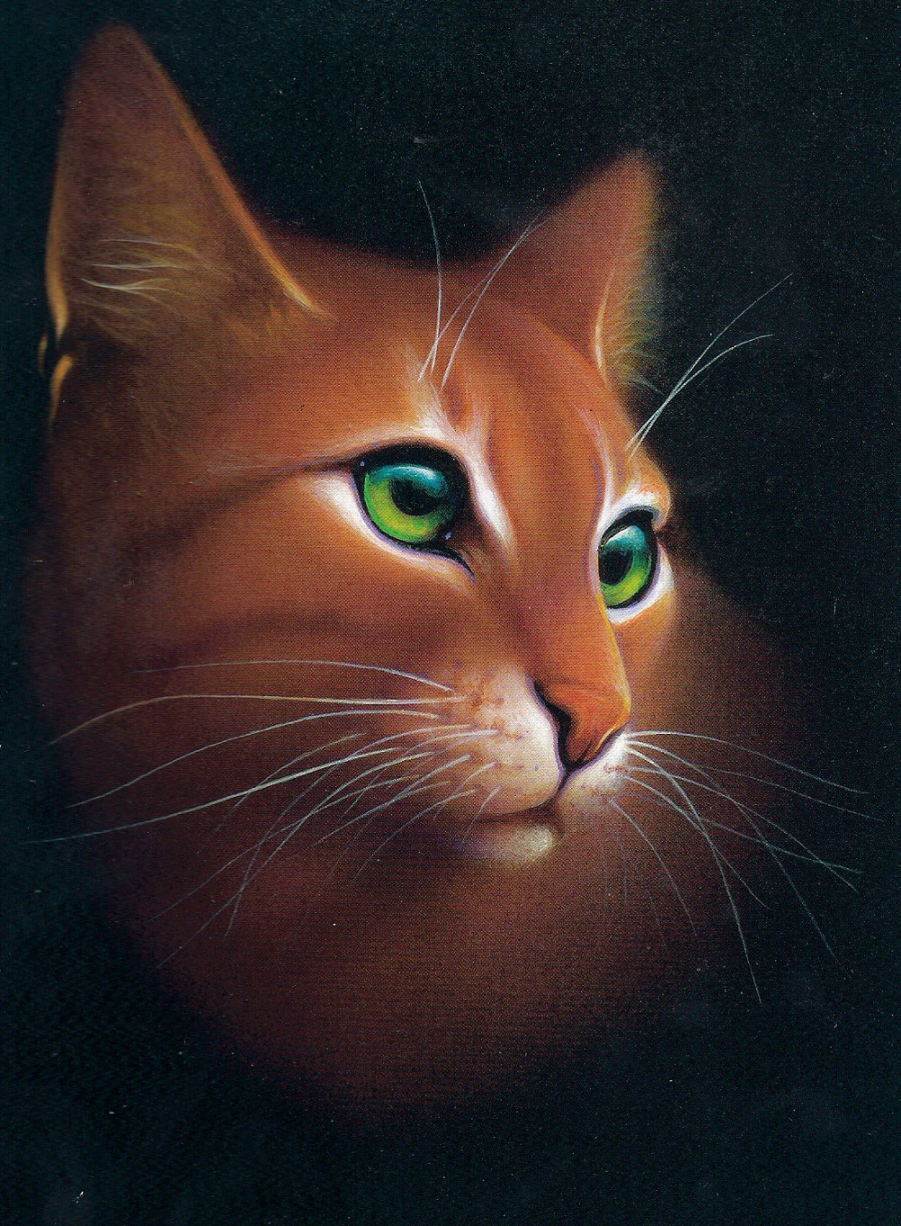 Leafpool коты Воители