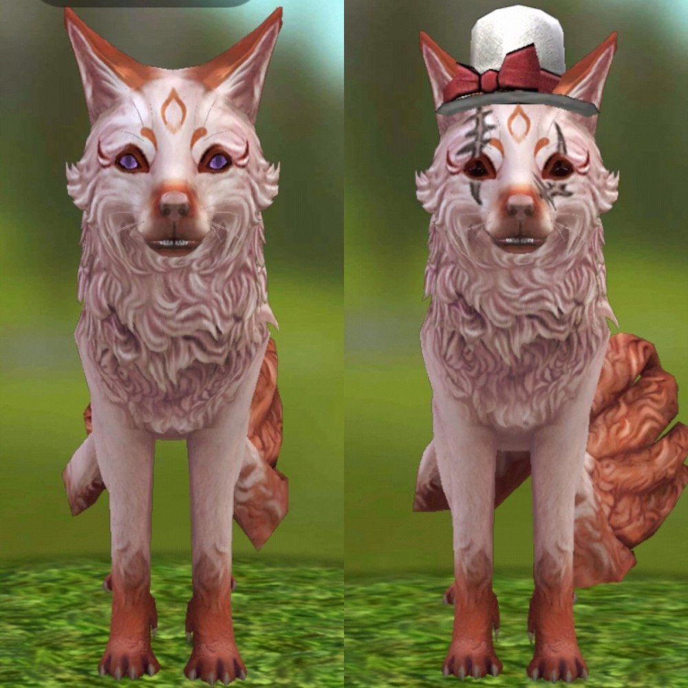 WILDCRAFT Кейт