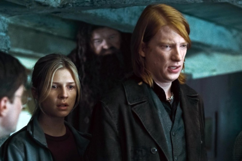 Гарри Поттер Билл и Флер