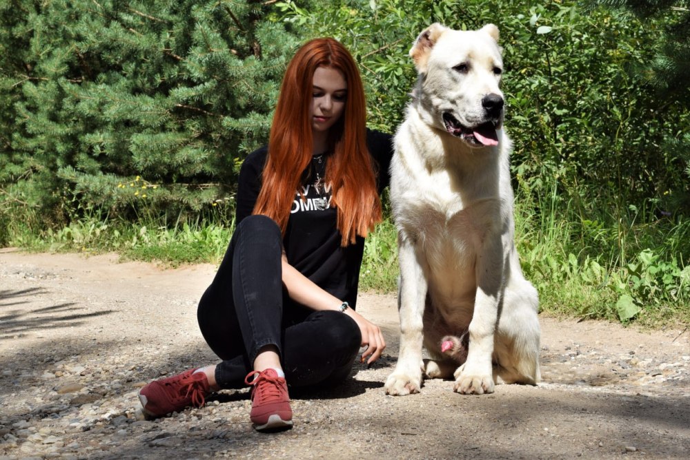 Кангал Турция