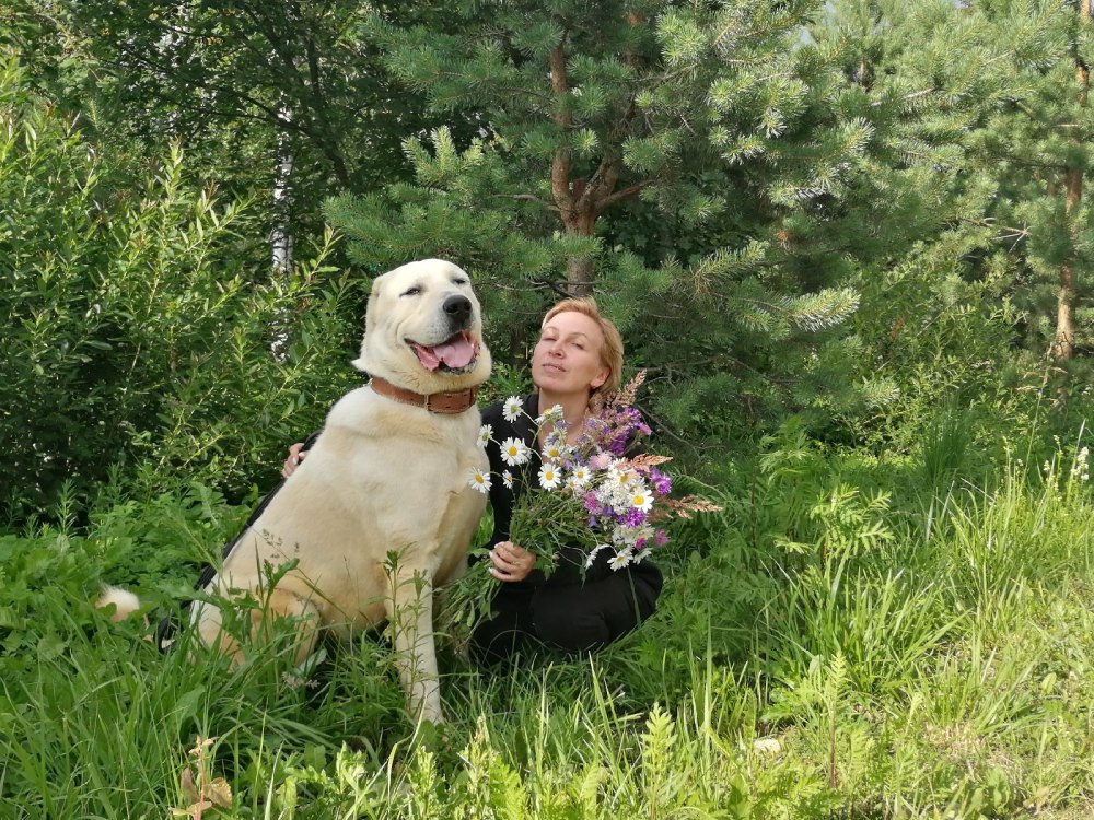 Девушка с алабаем