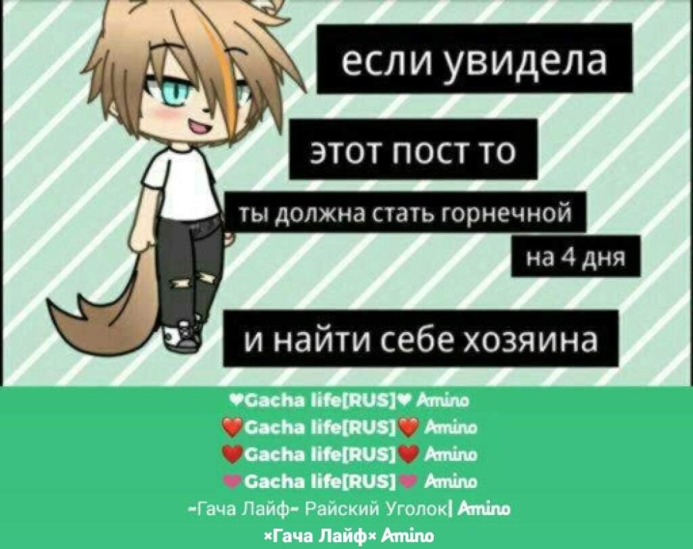 ОС Альфа гача лайф мальчики Альфа