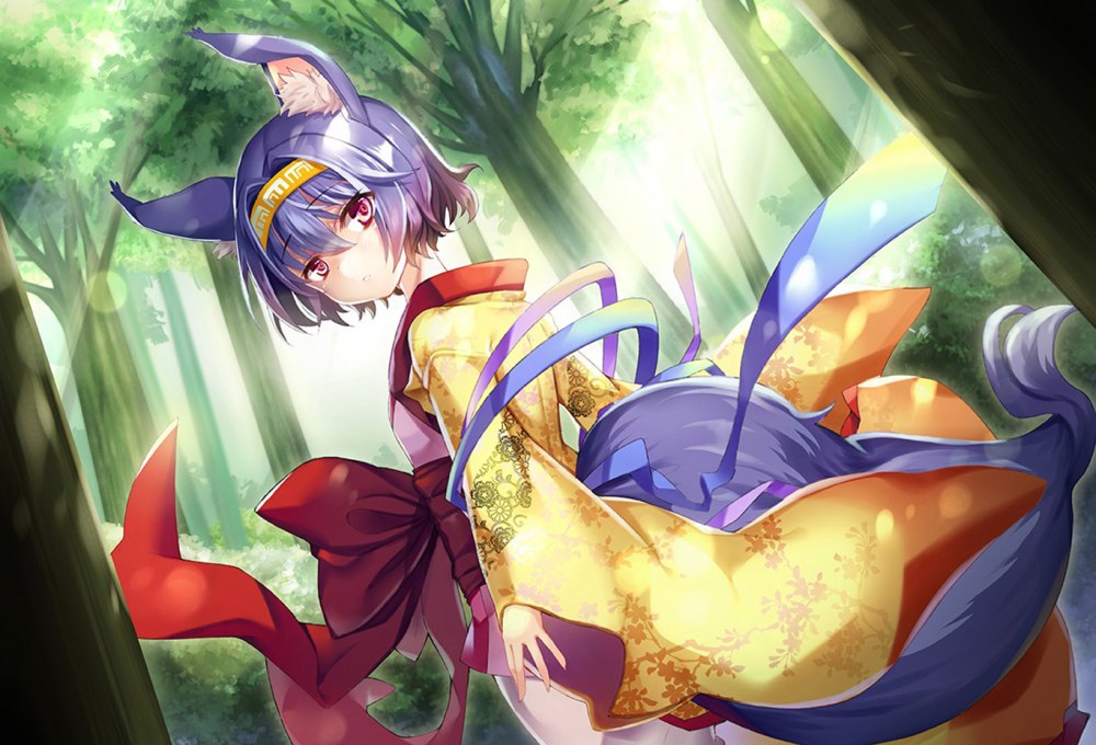 No game no Life изуна