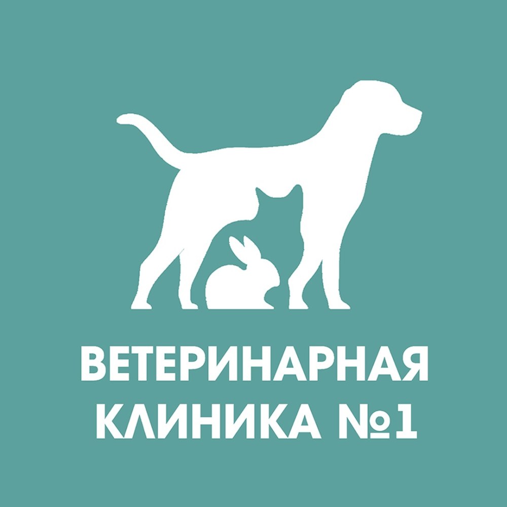 Ветеринарная клиника вектор