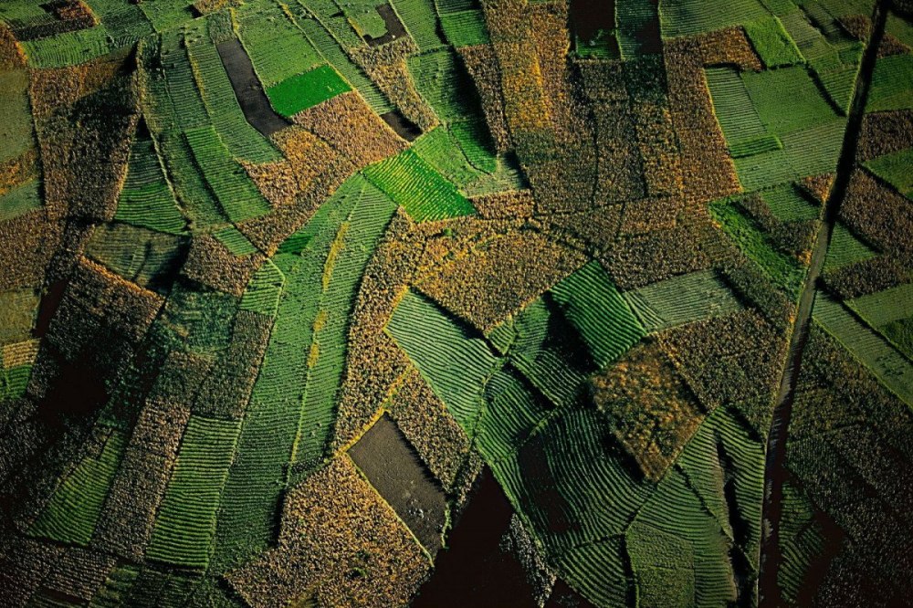 Yann Arthus-Bertrand