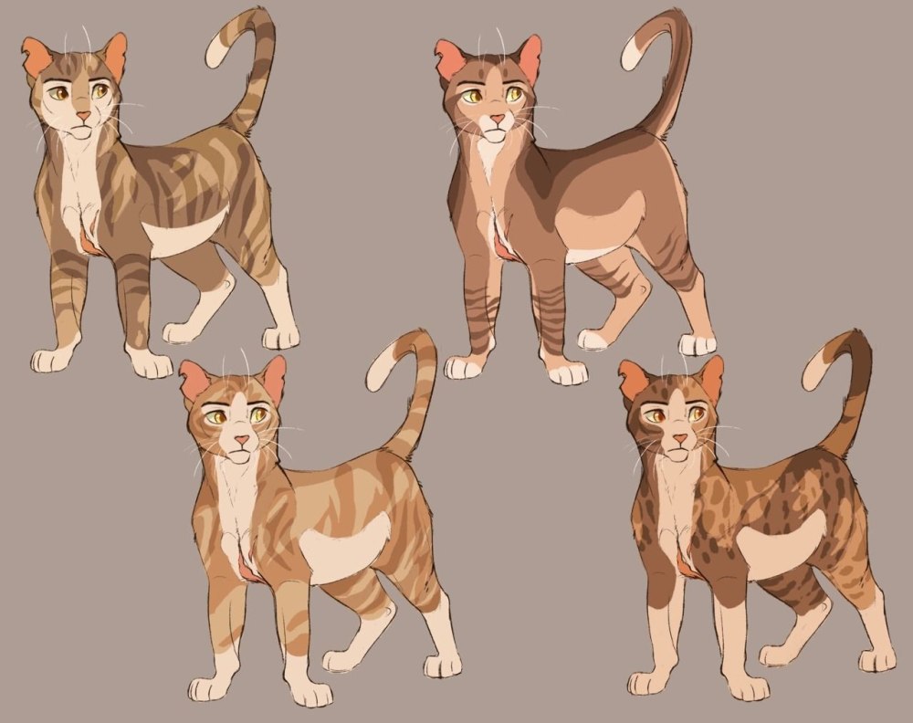 Коты Воители референс лайн