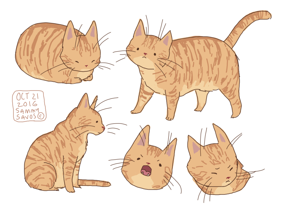 Кот референс
